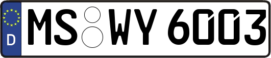 MS-WY6003