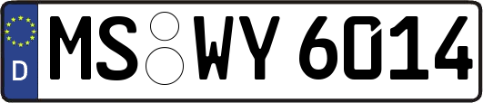 MS-WY6014