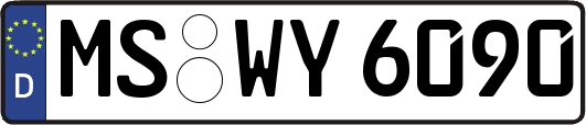 MS-WY6090