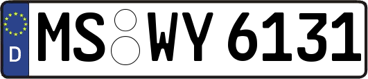MS-WY6131