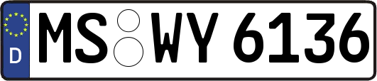 MS-WY6136