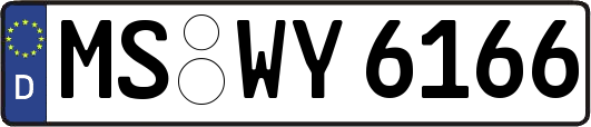 MS-WY6166