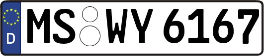 MS-WY6167