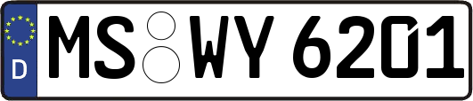 MS-WY6201