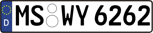 MS-WY6262