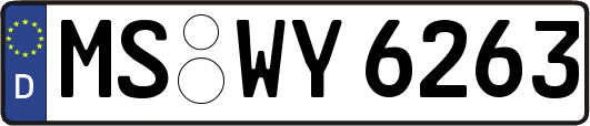 MS-WY6263