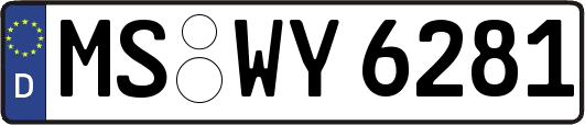 MS-WY6281