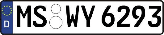 MS-WY6293
