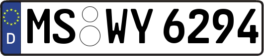 MS-WY6294