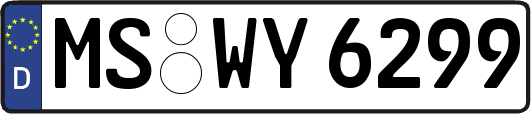 MS-WY6299