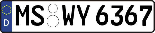 MS-WY6367