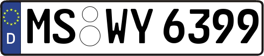 MS-WY6399