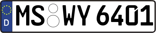 MS-WY6401
