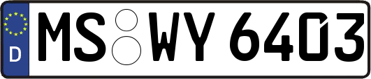 MS-WY6403