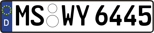 MS-WY6445