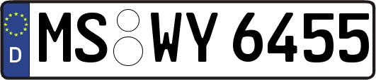 MS-WY6455
