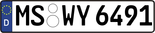 MS-WY6491