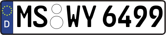 MS-WY6499