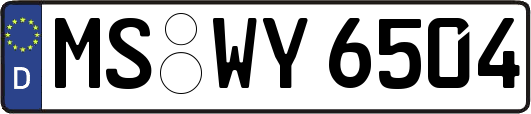 MS-WY6504