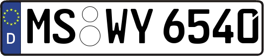 MS-WY6540
