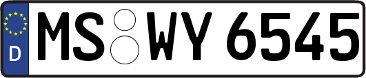 MS-WY6545