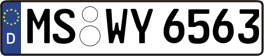 MS-WY6563