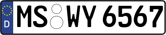 MS-WY6567