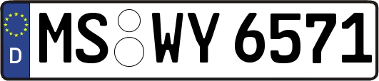 MS-WY6571
