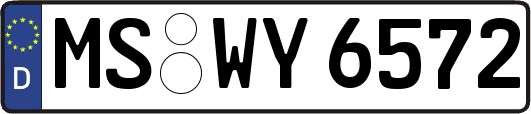 MS-WY6572