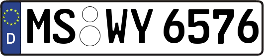 MS-WY6576