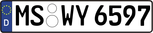 MS-WY6597