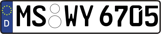 MS-WY6705