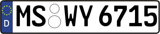 MS-WY6715