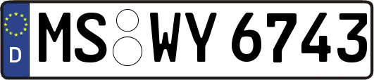 MS-WY6743