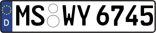 MS-WY6745