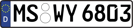 MS-WY6803