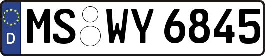 MS-WY6845