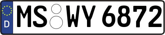 MS-WY6872