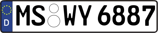 MS-WY6887