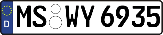 MS-WY6935