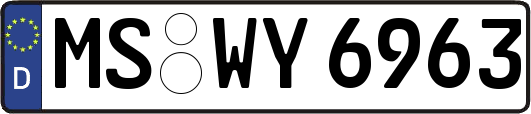 MS-WY6963