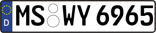MS-WY6965
