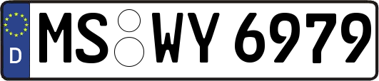 MS-WY6979