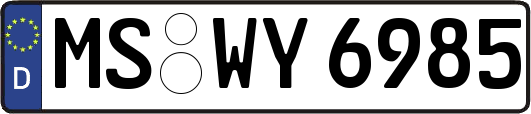 MS-WY6985