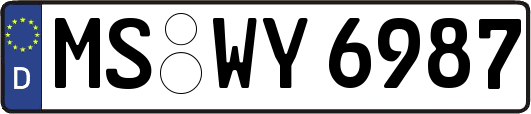 MS-WY6987