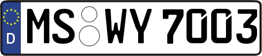 MS-WY7003