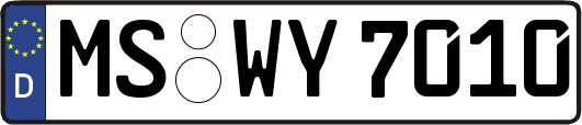 MS-WY7010