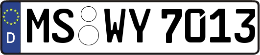 MS-WY7013