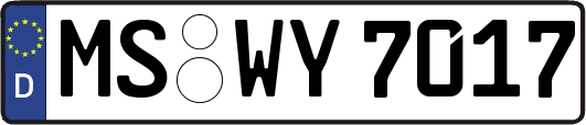 MS-WY7017