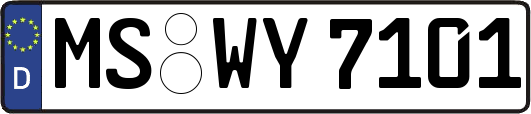 MS-WY7101